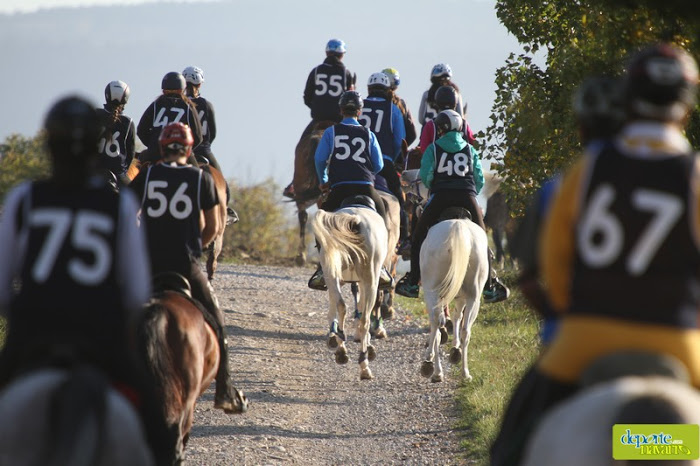 Campeonato Navarro de Raid CEI*, CEN*, CEN0*, Promocion 60km y 40km, el s&aacute;bado 30 de septiembre en A&ntilde;ezcar